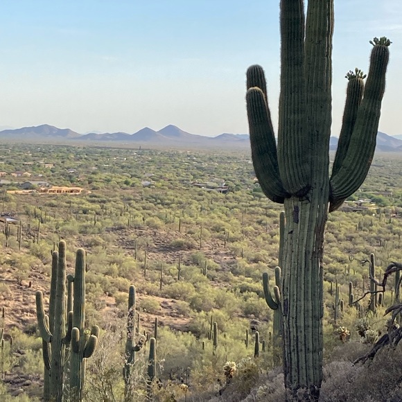 Meet your Posher, DuRand - Picture 2 of 4